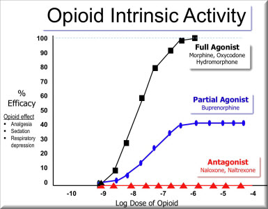 Opioid Activity in Vancouver